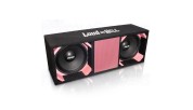 Loud as Hell 2x10" Chaos Pro speaker box