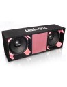 Loud as Hell 2x10" Chaos Pro speaker box