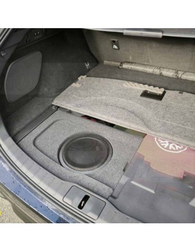 FBlexu02 Lexus RX subwoofer enclosure