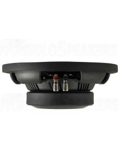 DLS PS10 Subwoofer 25 cm shallow 2
