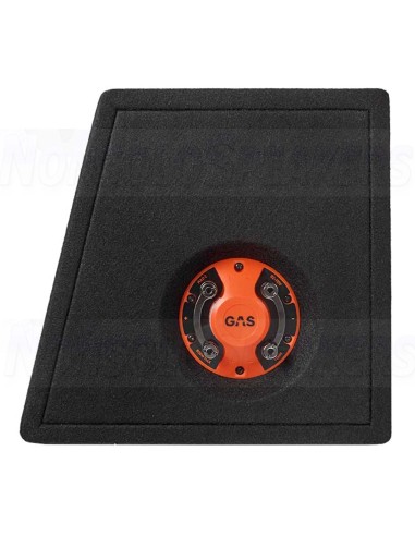 GAS MAD B2-110V 10" subwoofer box