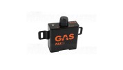 GAS MAX A2-2500.1DL 1-channel amplifier