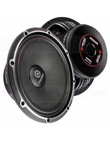 System 4xReiss RS-M102VB Ampkit