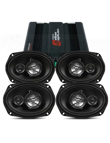 Cerwin Vega Xed69 amp kit