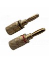 AUDIKOM BN05 - Pair of Bananas - 24k Gold Plated - for 4.0mm Cable