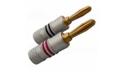 AUDIKOM BN17 - Pair of Bananas - 24k Gold Plated - for 5.0mm Cable