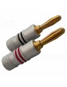 AUDIKOM BN17 - Pair of Bananas - 24k Gold Plated - for 5.0mm Cable