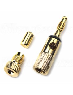 AUDIKOM BN15 - Pair of Bananas - 24k Gold Plated - 2