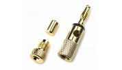 AUDIKOM BN15 - Pair of Bananas - 24k Gold Plated -