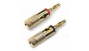 AUDIKOM BN15 - Pair of Bananas - 24k Gold Plated -