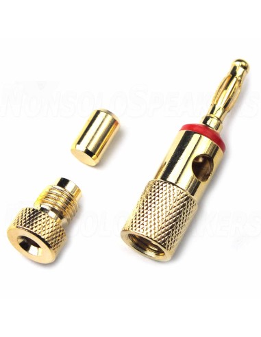 AUDIKOM BN15 - Pair of Bananas - 24k Gold Plated -