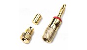 AUDIKOM BN15 - Pair of Bananas - 24k Gold Plated -