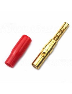 AUDIKOM BN12 - Pair of Bananas - 24k Gold Plated - Until 5mm 2