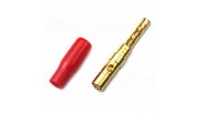 AUDIKOM BN12 - Pair of Bananas - 24k Gold Plated - Until 5mm