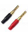 AUDIKOM BN12 - Pair of Bananas - 24k Gold Plated - Until 5mm