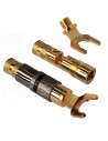 AUDIKOM TC01 - forks with screw-on head - 24k gold plating - 6.2mm hole - Pair