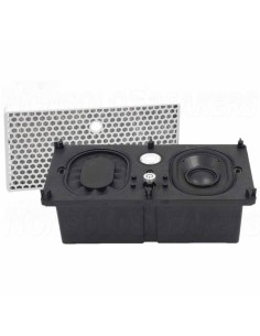 Tang Band  SW8622-1 module speakers 2 way