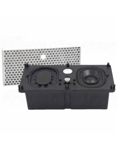Tang Band  SW8622-1 module speakers 2 way