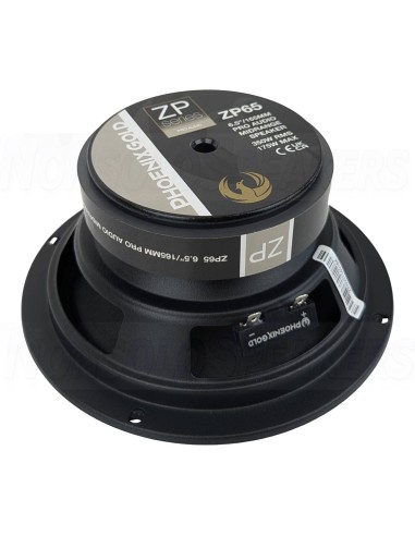 PHOENIX GOLD ZP65BOX – 1700W SPL Speaker Box
