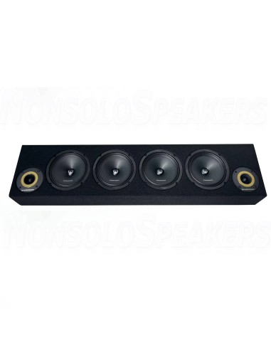 PHOENIX GOLD ZP65BOX – 1700W SPL Speaker Box