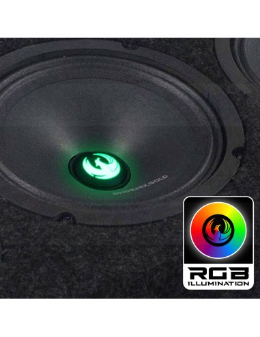PHOENIX GOLD ZP65BOXRGB – 1700W SPL Box with RGB