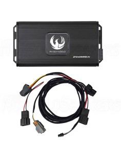 Phoenix Gold ZXMSP2 Polestar 2 Subwoofer Amplifier Upgrade