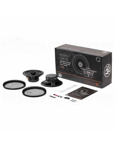 DLS Cruise CRPP-U6CX coaxial speakers