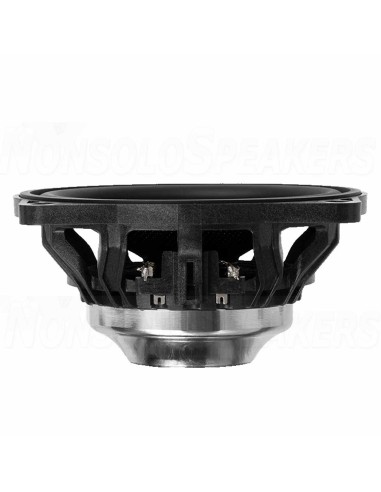 Component speakers for Tesla DLS Cruise CRPP-TS1.4