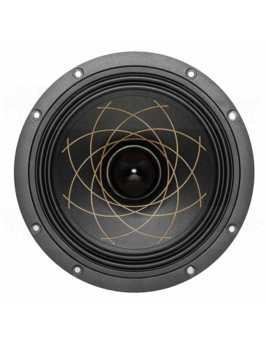 RS Speakers W 174.38 Fibonacci 6.5" woofer