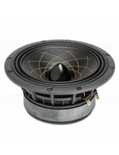 RS Speakers W 174.38 Fibonacci 6.5" woofer