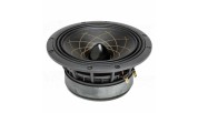 RS Speakers W 174.38 Fibonacci 6.5" woofer