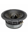 RS Speakers W 174.38 Fibonacci 6.5" woofer