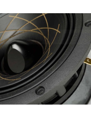RS Speakers W 140.38 Fibonacci 5.5" woofer