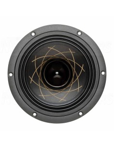 RS Speakers W 140.38 Fibonacci 5.5" woofer 2