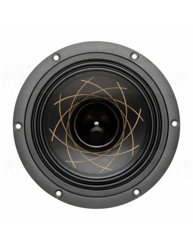 RS Speakers W 140.38 Fibonacci 5.5" woofer