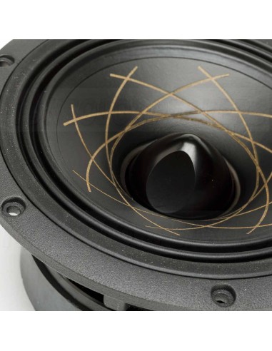 RS Speakers W 140.38 Fibonacci 5.5" woofer
