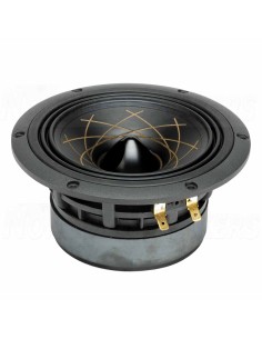 RS Speakers W 140.38 Fibonacci 5.5" woofer
