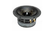 RS Speakers W 140.38 Fibonacci 5.5" woofer