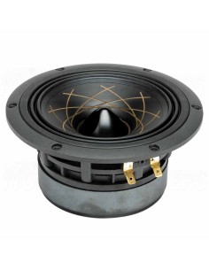 RS Speakers MW 140.38 Fibonacci 5.5" woofer