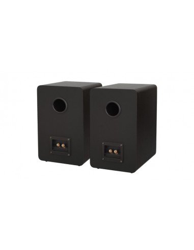 BLOCK S-250 Loudspeaker (Pair) Anthracite