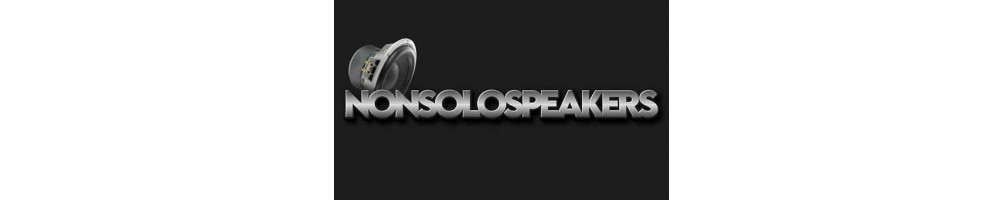 Nonsolospeakers hifi
