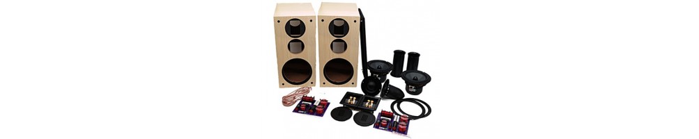 DIY speaker kit