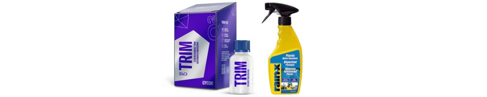 Protection and impregnation of transparent plastics
