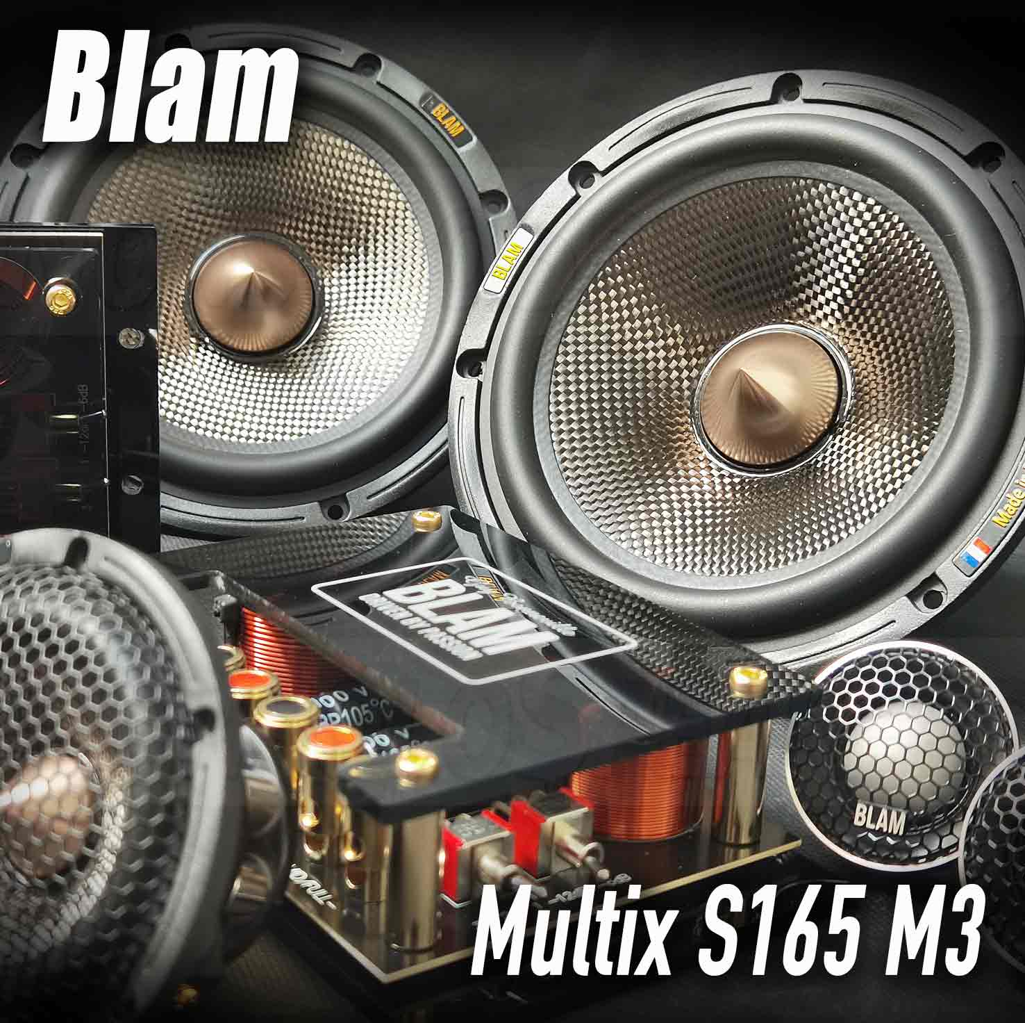 blam multix