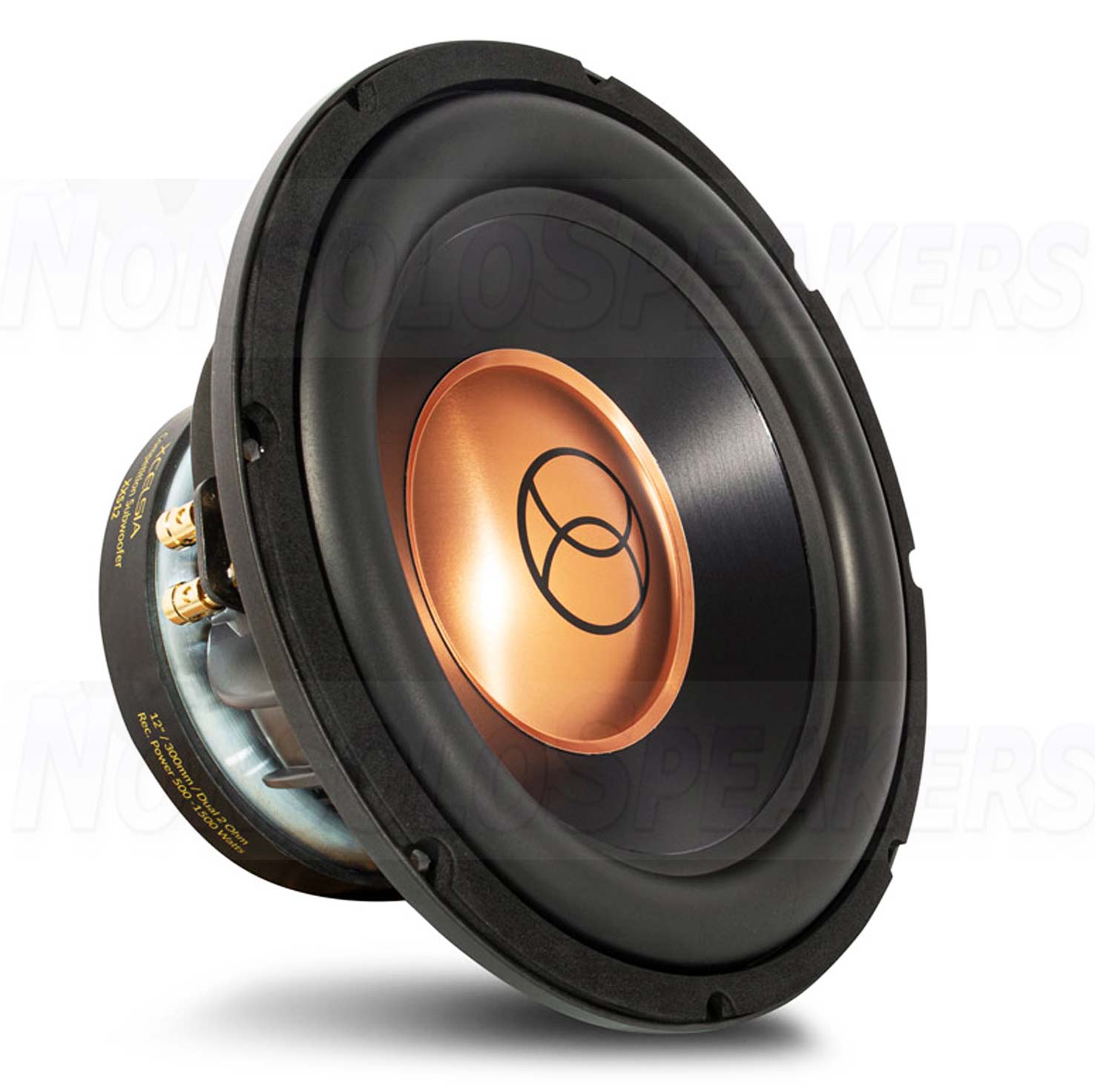 Turbine melodie room Xcelsus Audio XXS12 12" subwoofer speaker