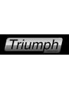 TRIUMPH TRUCK
